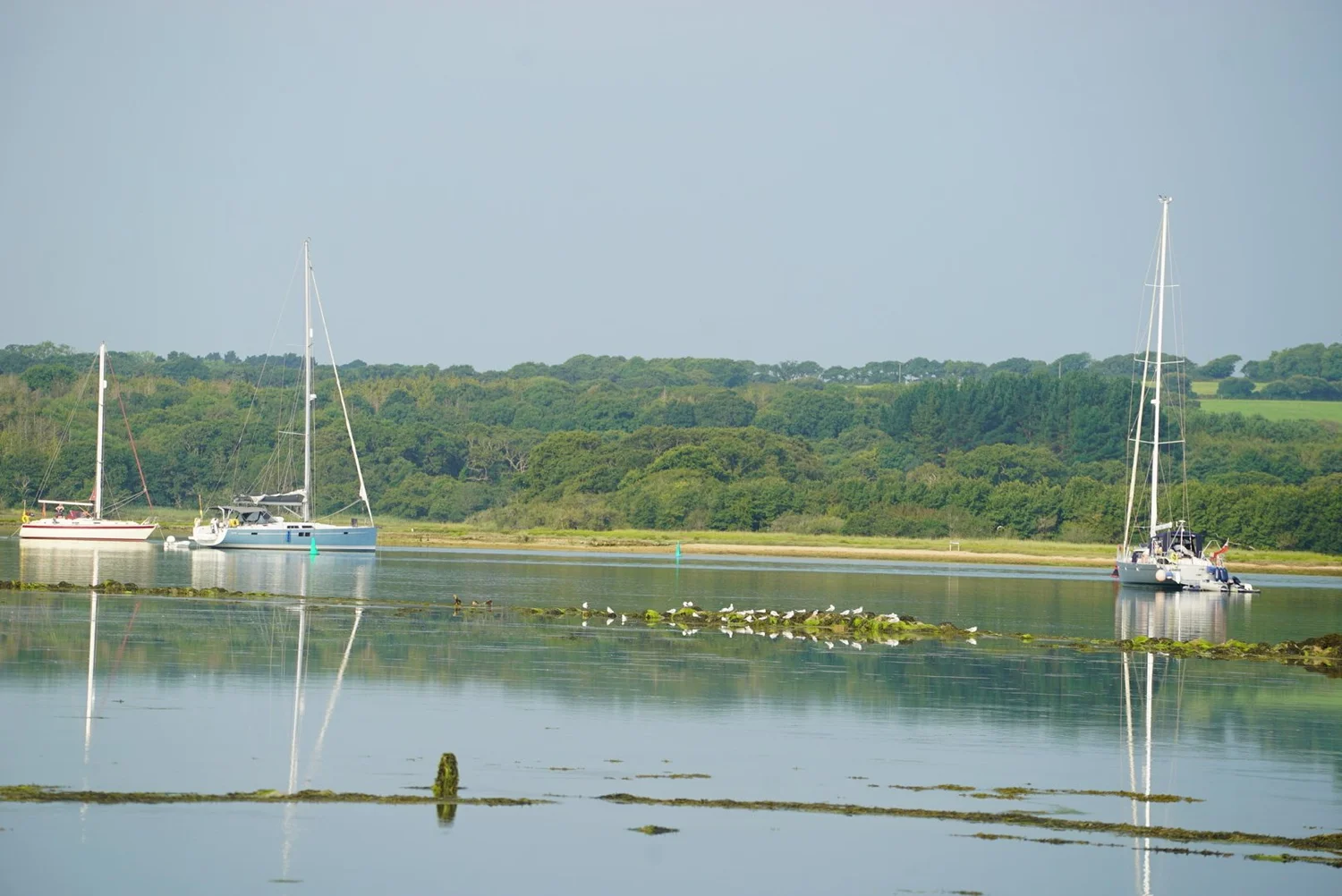A day out on Fantasea Charter