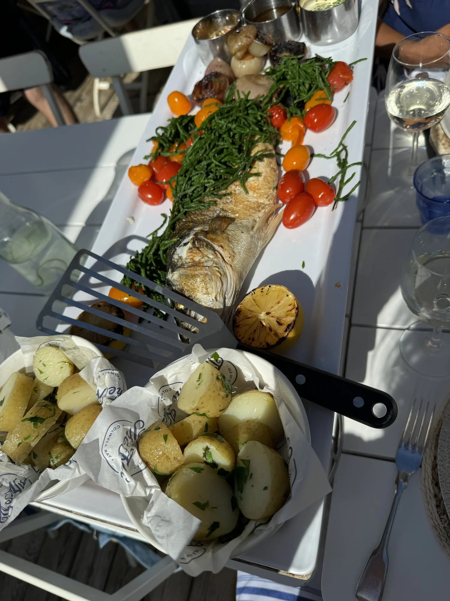 A day out on Fantasea Charter